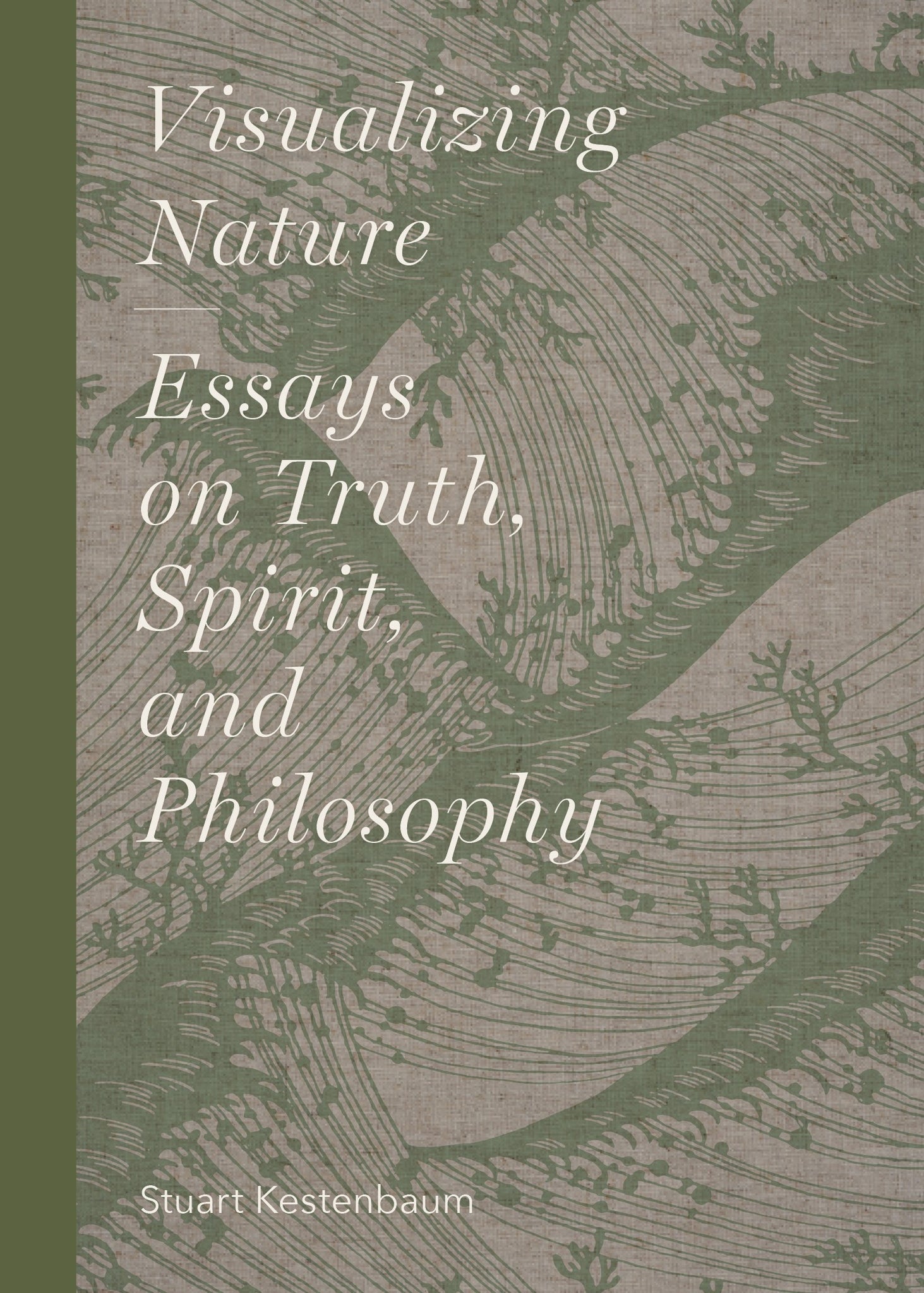 Visualizing Nature: Essays on Truth, Spirit and Philosophy cover