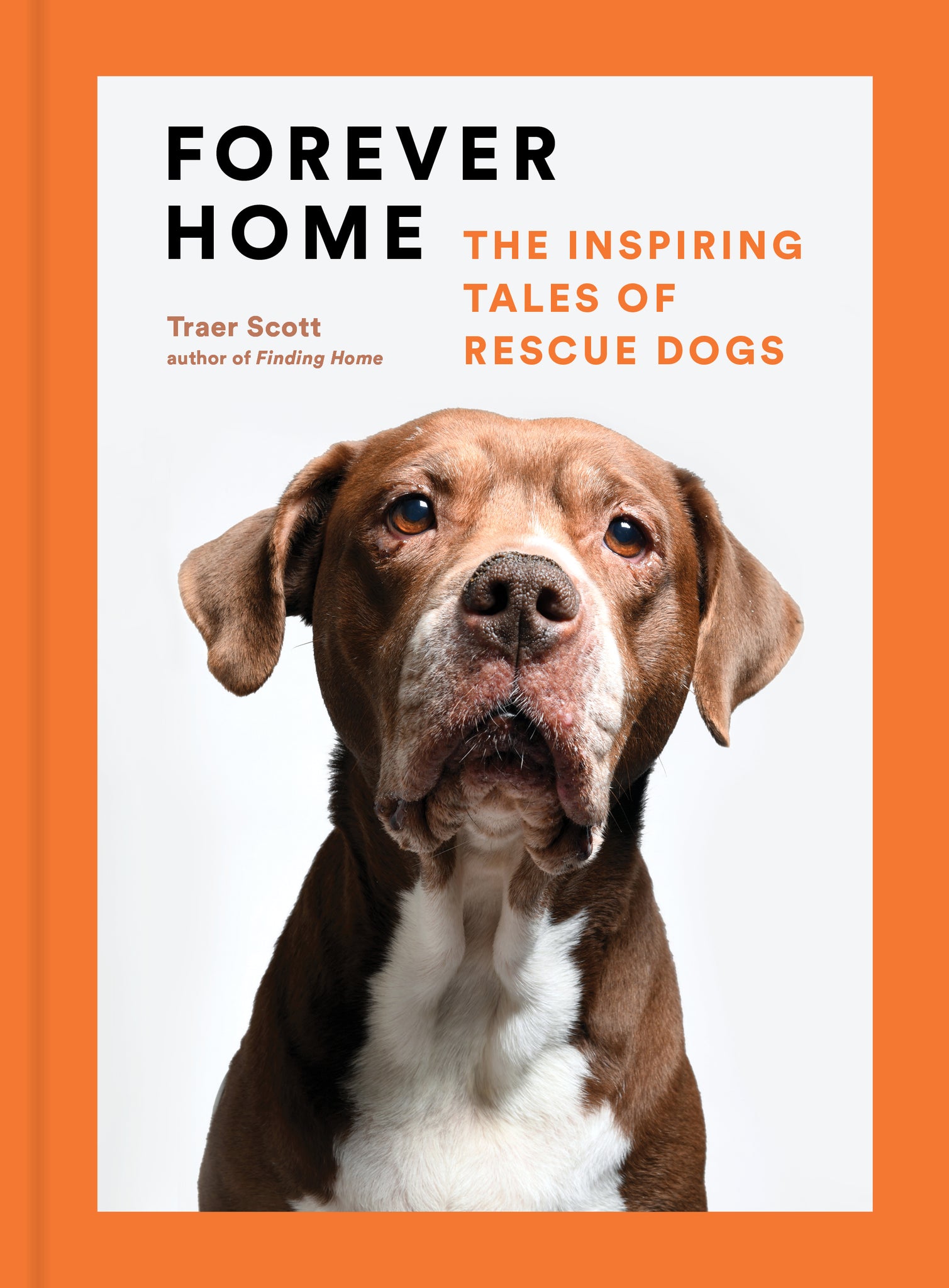 Forever Home: The Inspiring Tales of Rescue Dogs cover