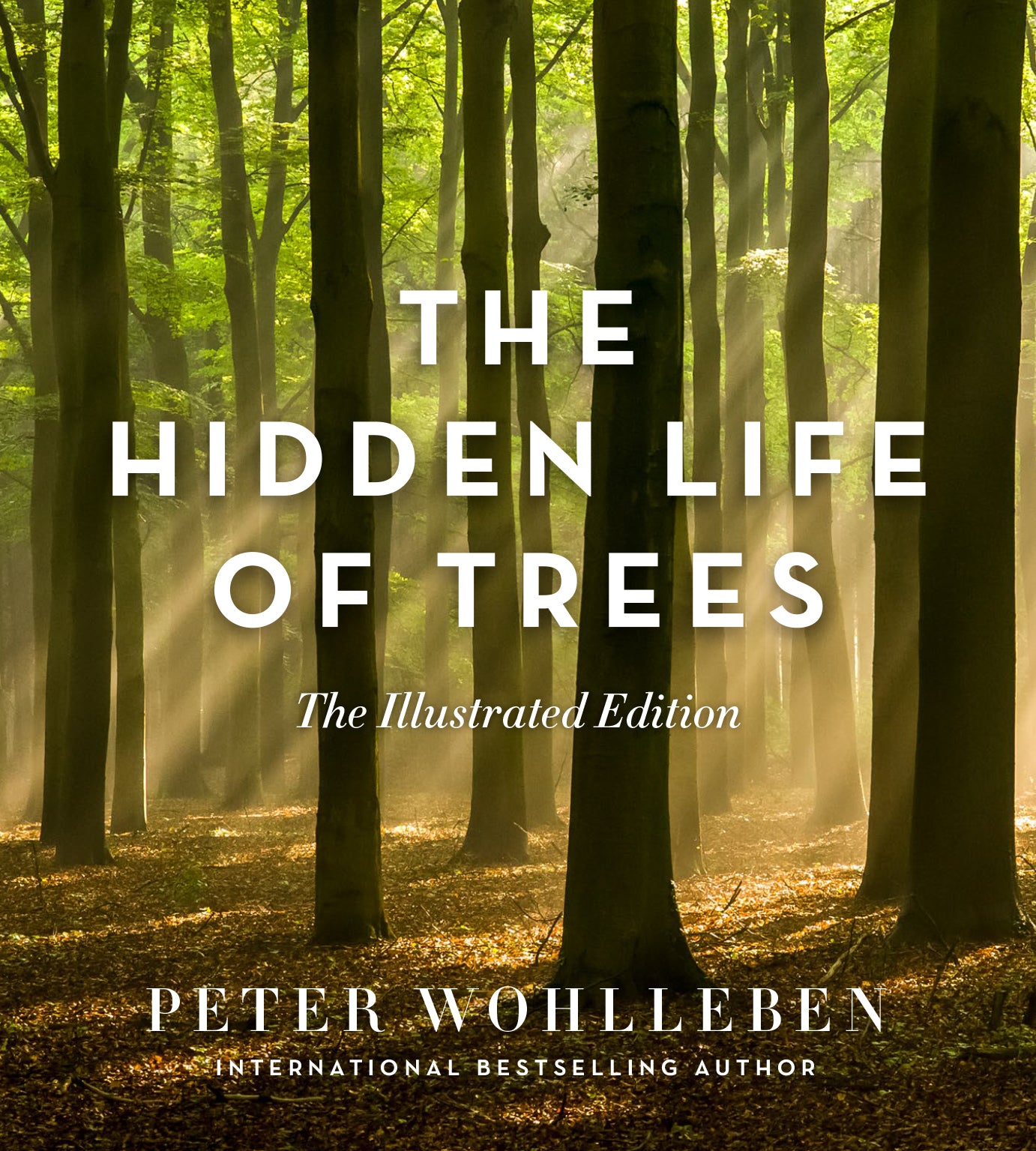 Hidden Life of Trees: The Illustrated Edition [non-book trade customers only] cover