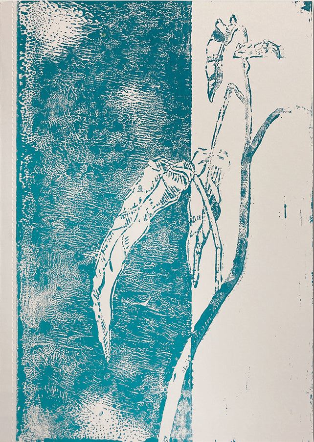 James Nguyen: Open Glossary cover