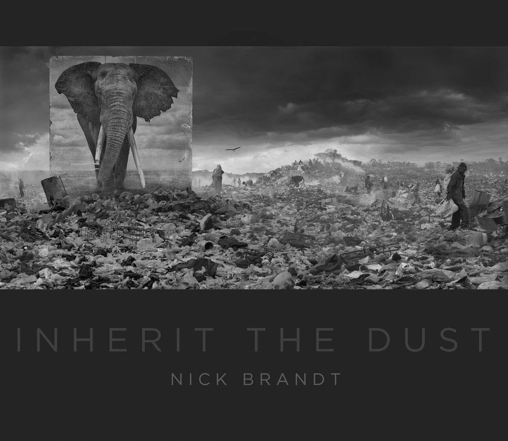 Nick Brandt: Inherit the Dust cover