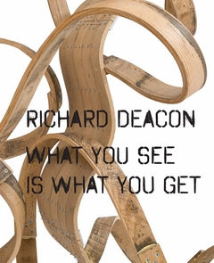 Richard Deacon: What You See Is What You Get cover
