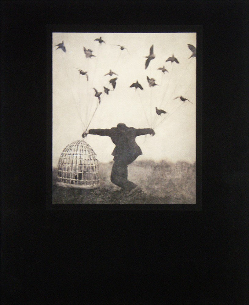 Robert and Shana ParkeHarrison: The Architect's Brother cover