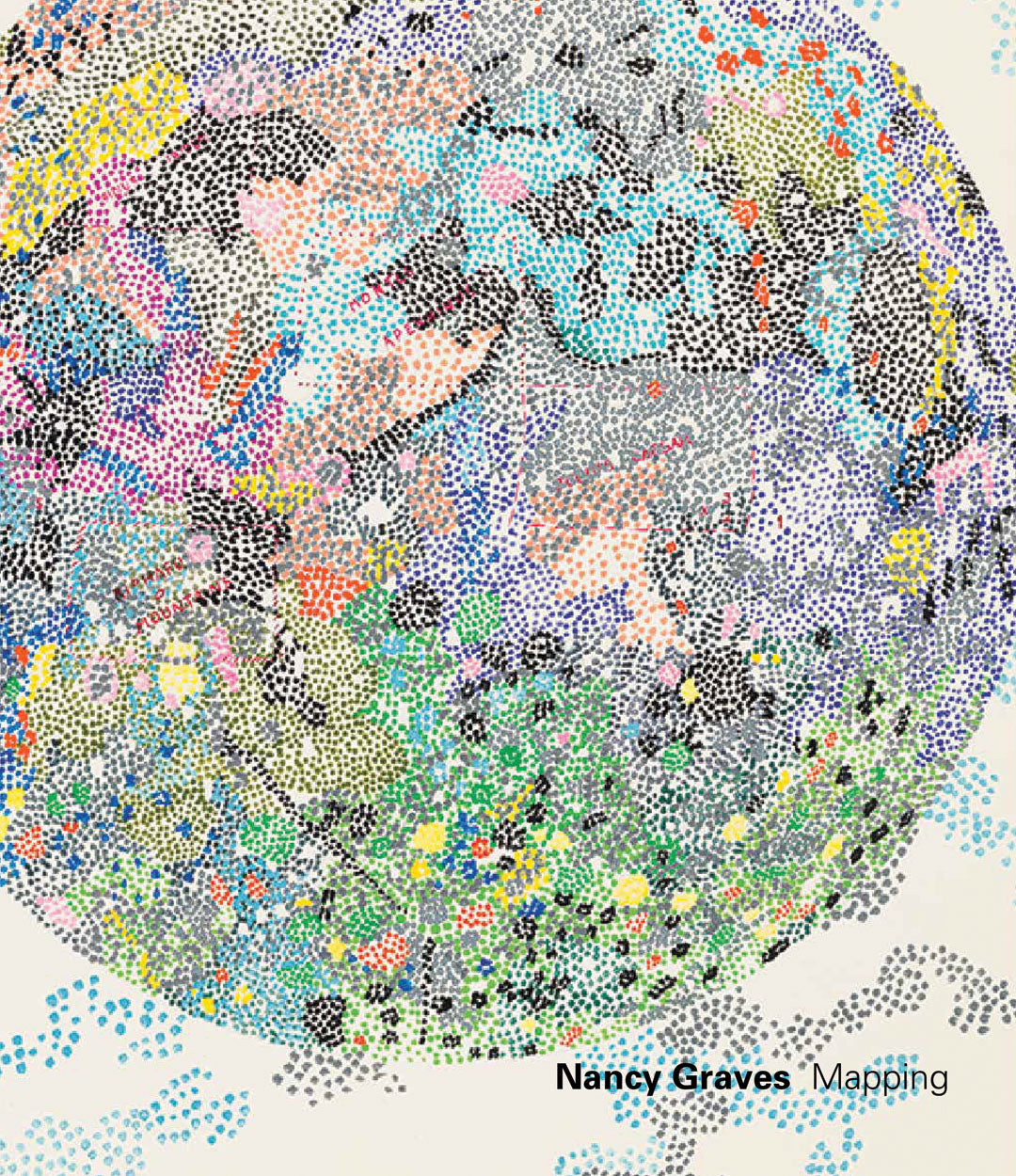 Nancy Graves: Mapping cover