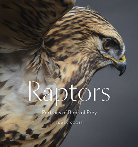 Raptors: Portraits of Birds of Prey cover