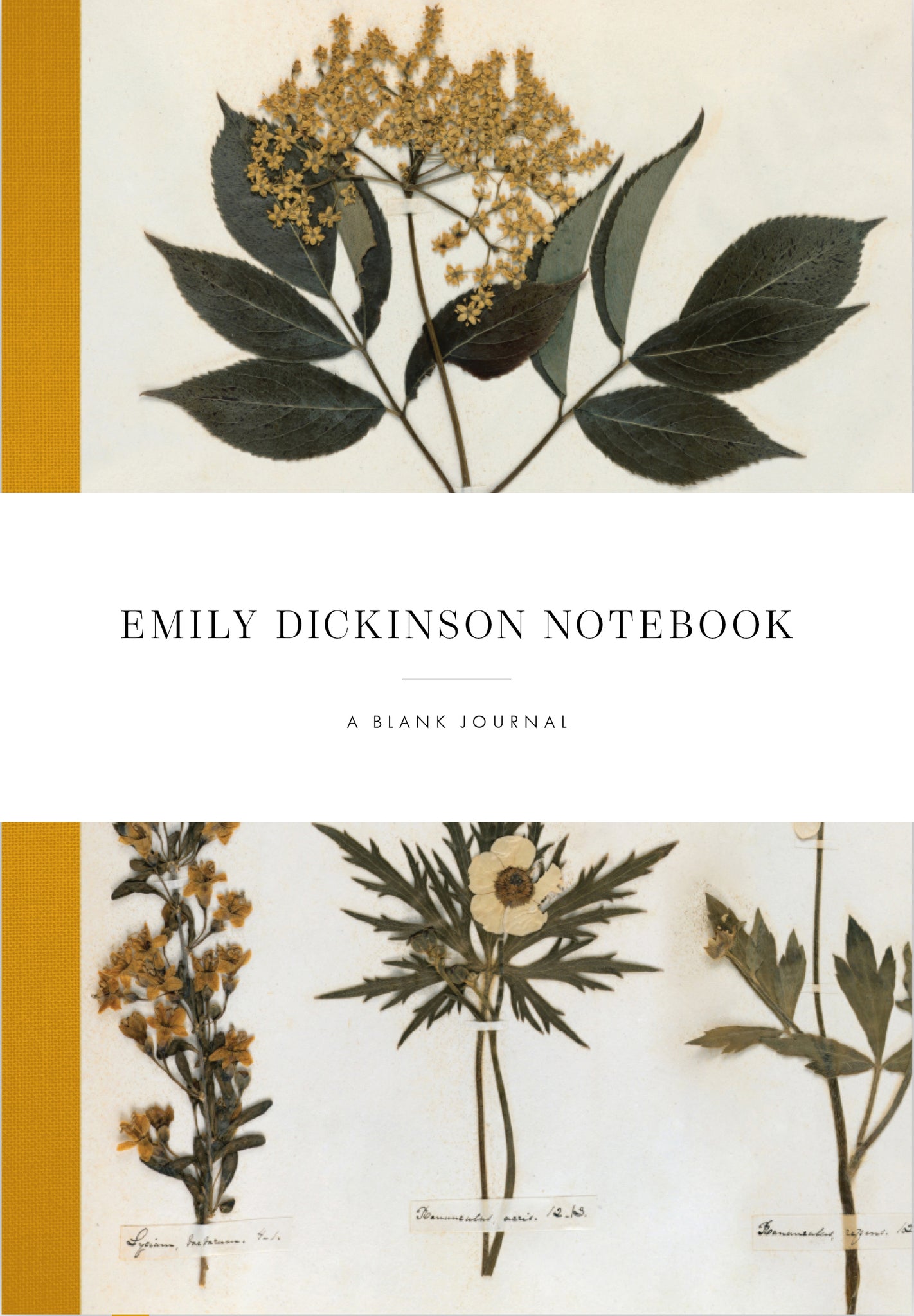 Emily Dickinson Notebook cover