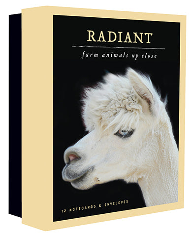 Radiant Notecards: Farm Animals Up Close cover
