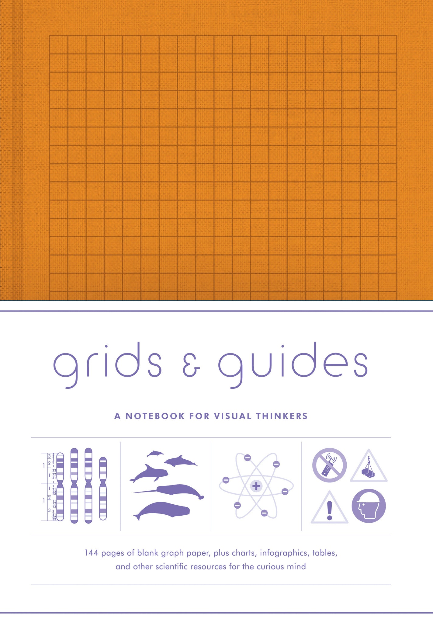 Grids & Guides (Orange): A Notebook for Visual Thinkers cover