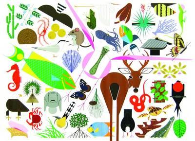 Charley Harper's Animal Kingdom POPULAR EDITION cover