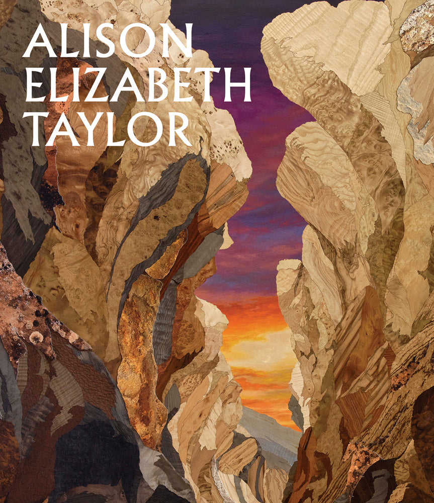 Alison Elizabeth Taylor: The Sum of It cover