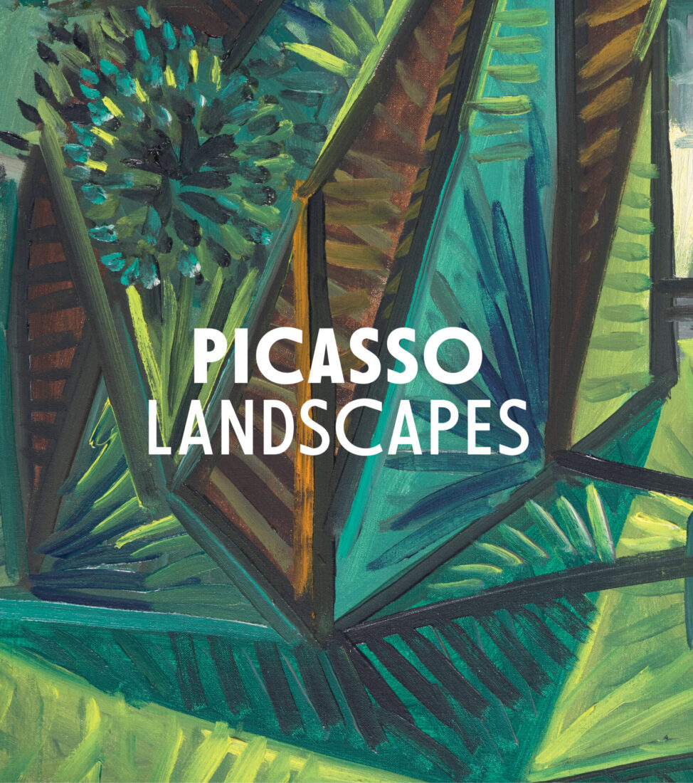 Picasso Landscapes: Out of Bounds  cover