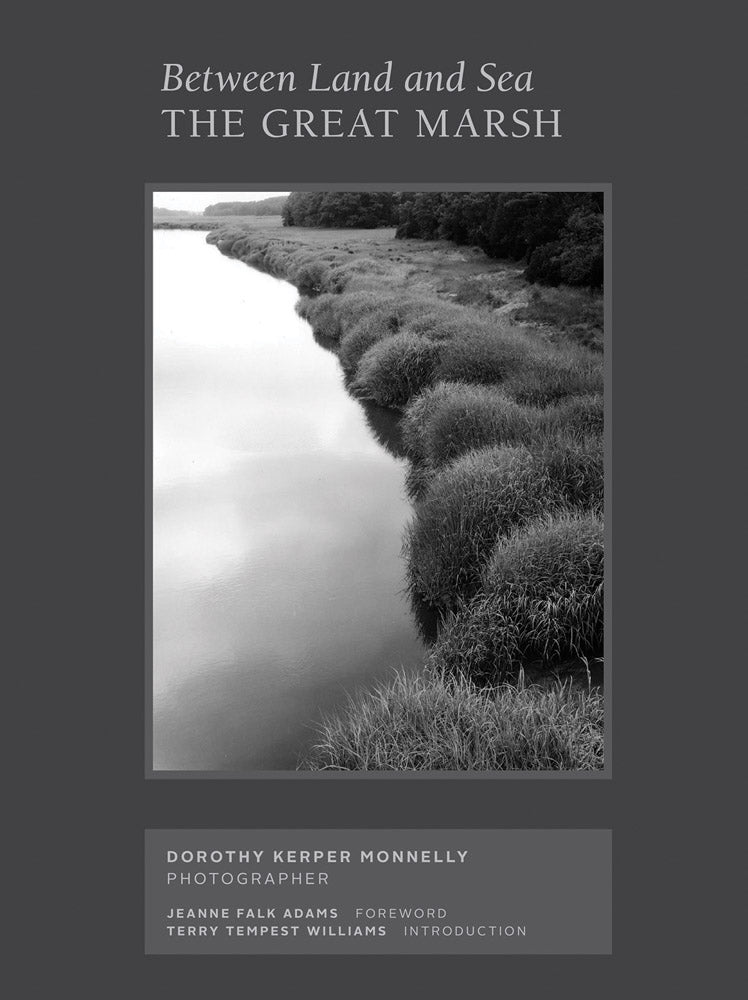 Between Land and Sea: The Great Marsh (new, revised edition) cover