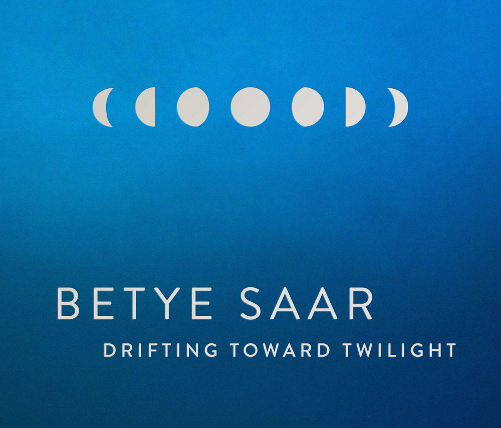 Betye Saar: Drifting toward Twilight cover