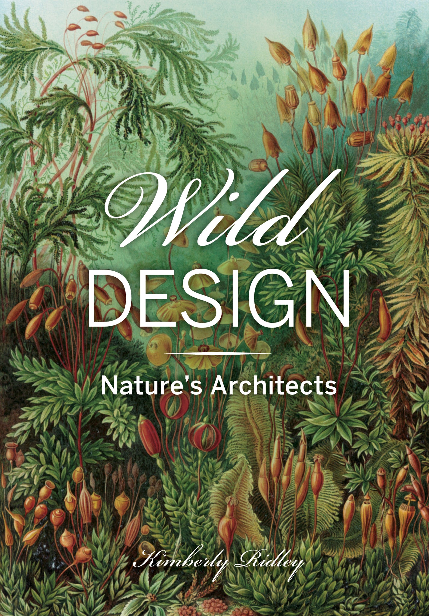 Wild Design: Nature's Architect cover