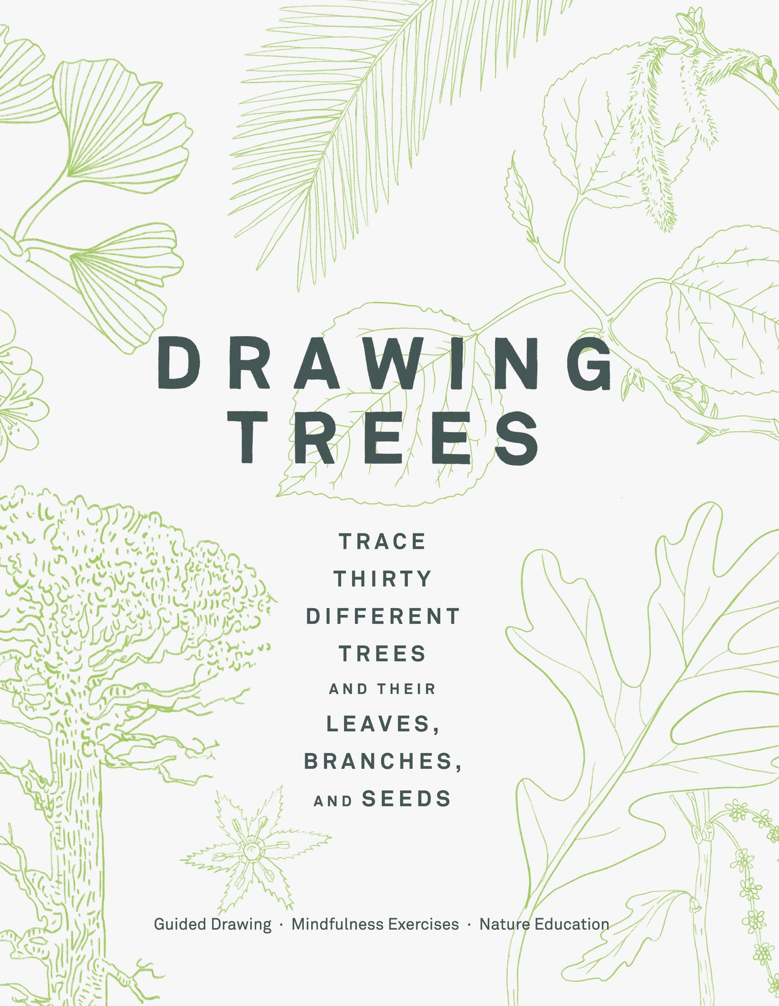 Drawing Trees: Trace Thirty Different Trees, and Their Leaves, Branches, and Seeds cover