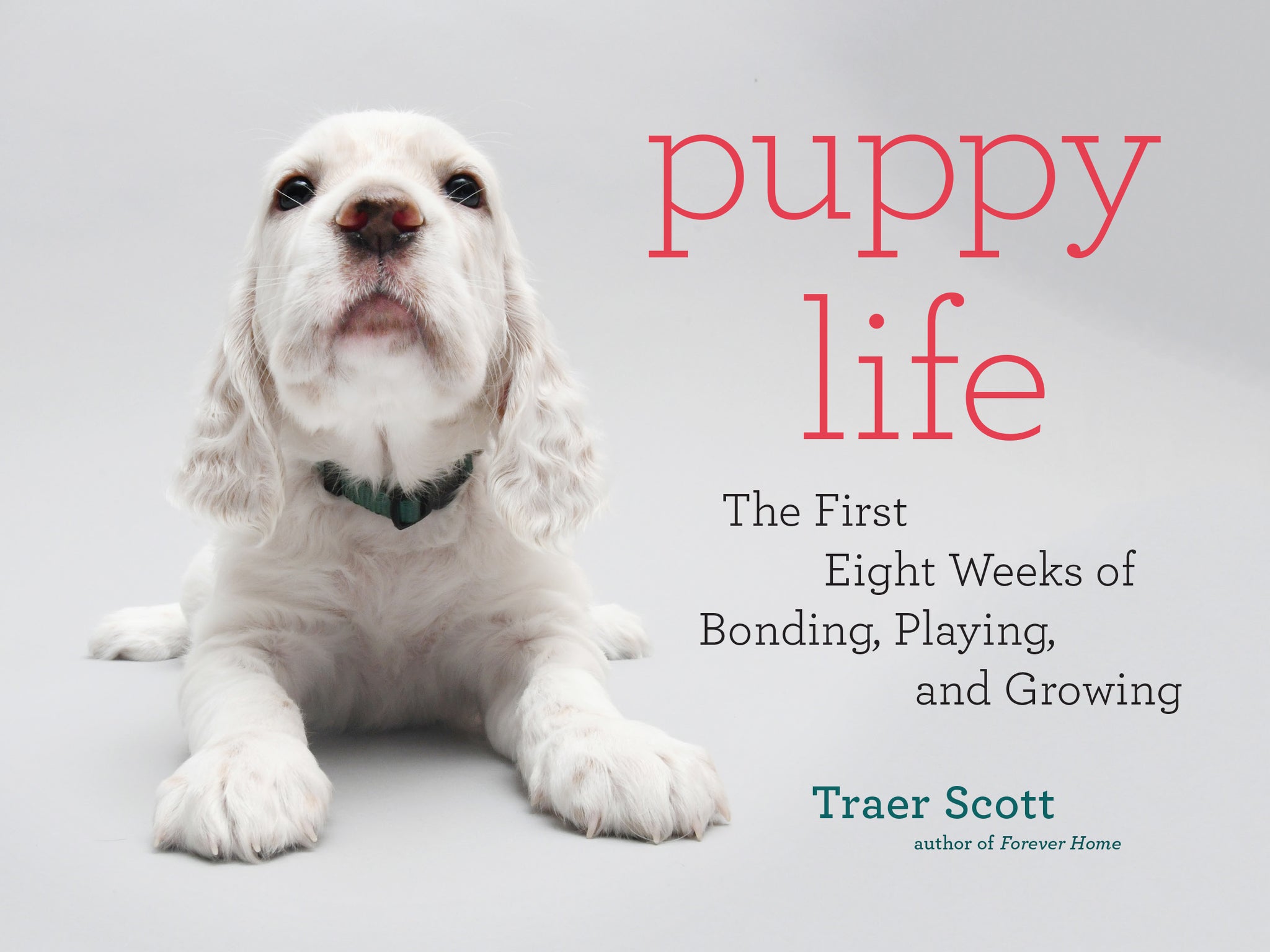 Puppy Life: The First Eight Weeks of Bonding, Playing & Growing cover