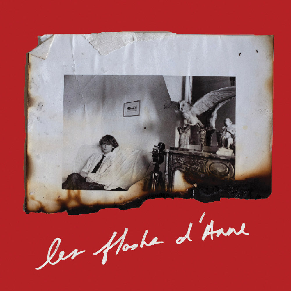 Anne Day: Les Flashes D’Anne cover