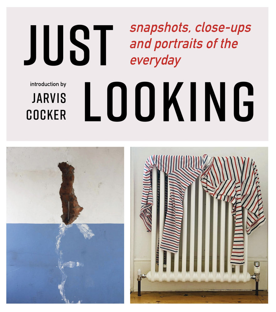 Just Looking: Snapshots, Close-ups and Portraits of the Everyday cover