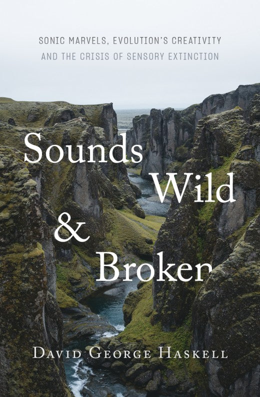 Sounds Wild and Broken [non-booktrade customers only] cover