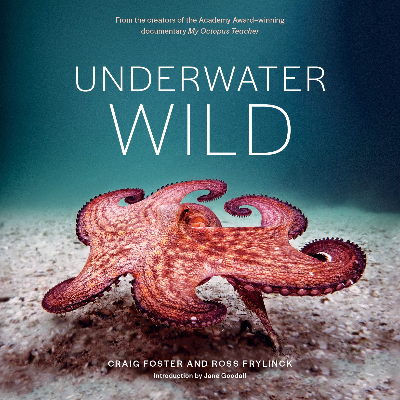Underwater Wild: My Octopus Teacher’s Extraordinary World [non-book trade customers only] cover