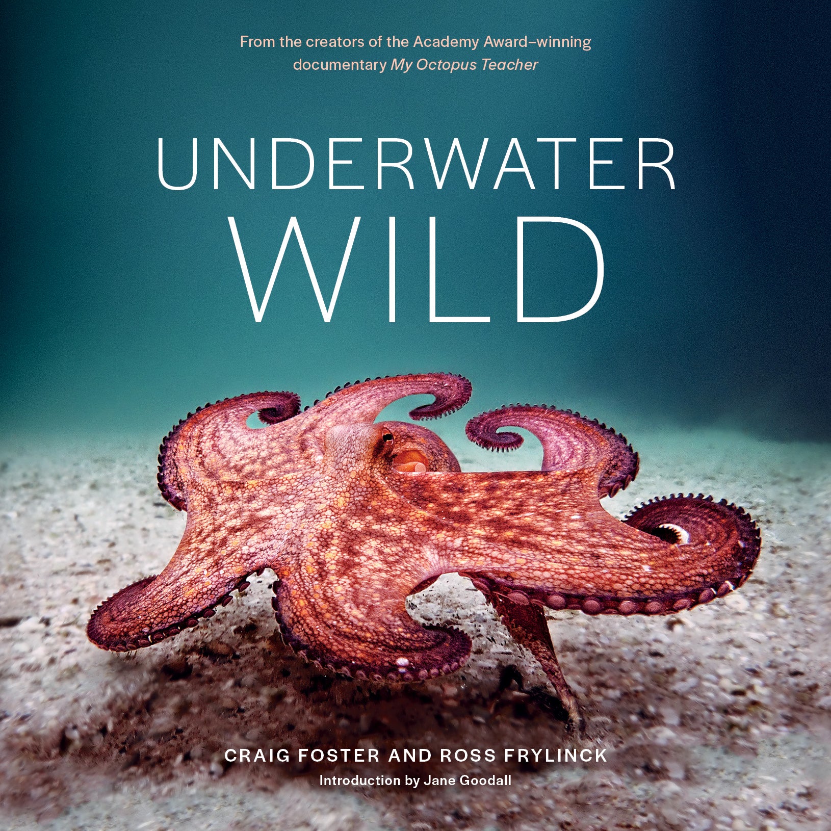 Underwater Wild: My Octopus Teacher’s Extraordinary World [non-book trade customers only] cover
