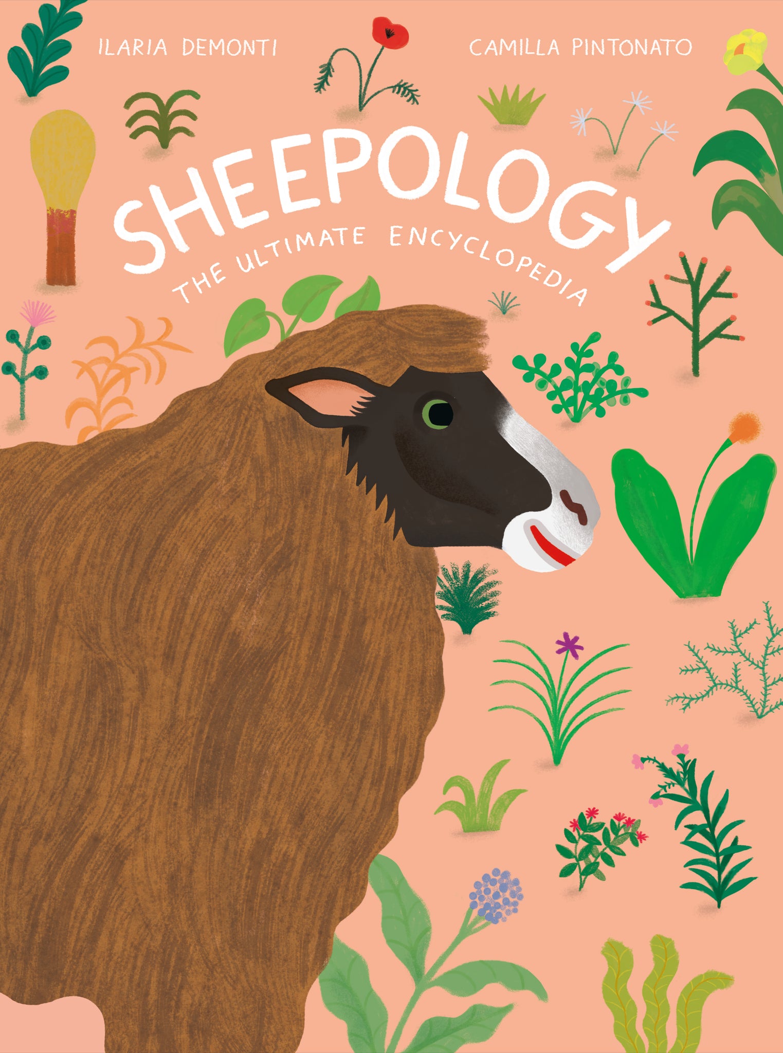 Sheepology: The Ultimate Encyclopedia cover