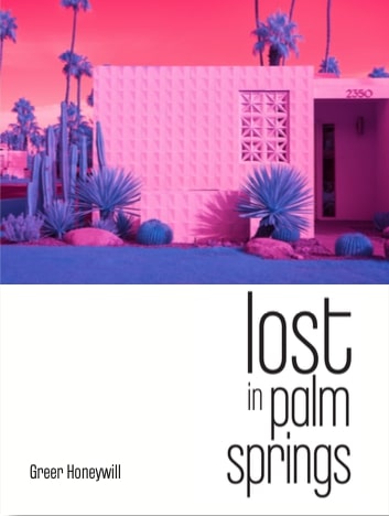 Lost in Palm Springs [non-booktrade customers only] cover