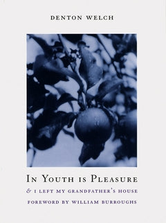 In Youth Is Pleasure: Denton Welch cover