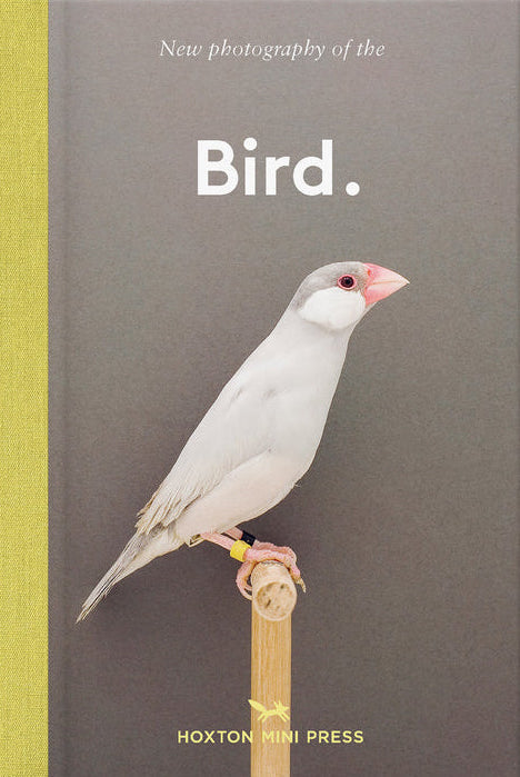 Bird: New photography of the Bird cover