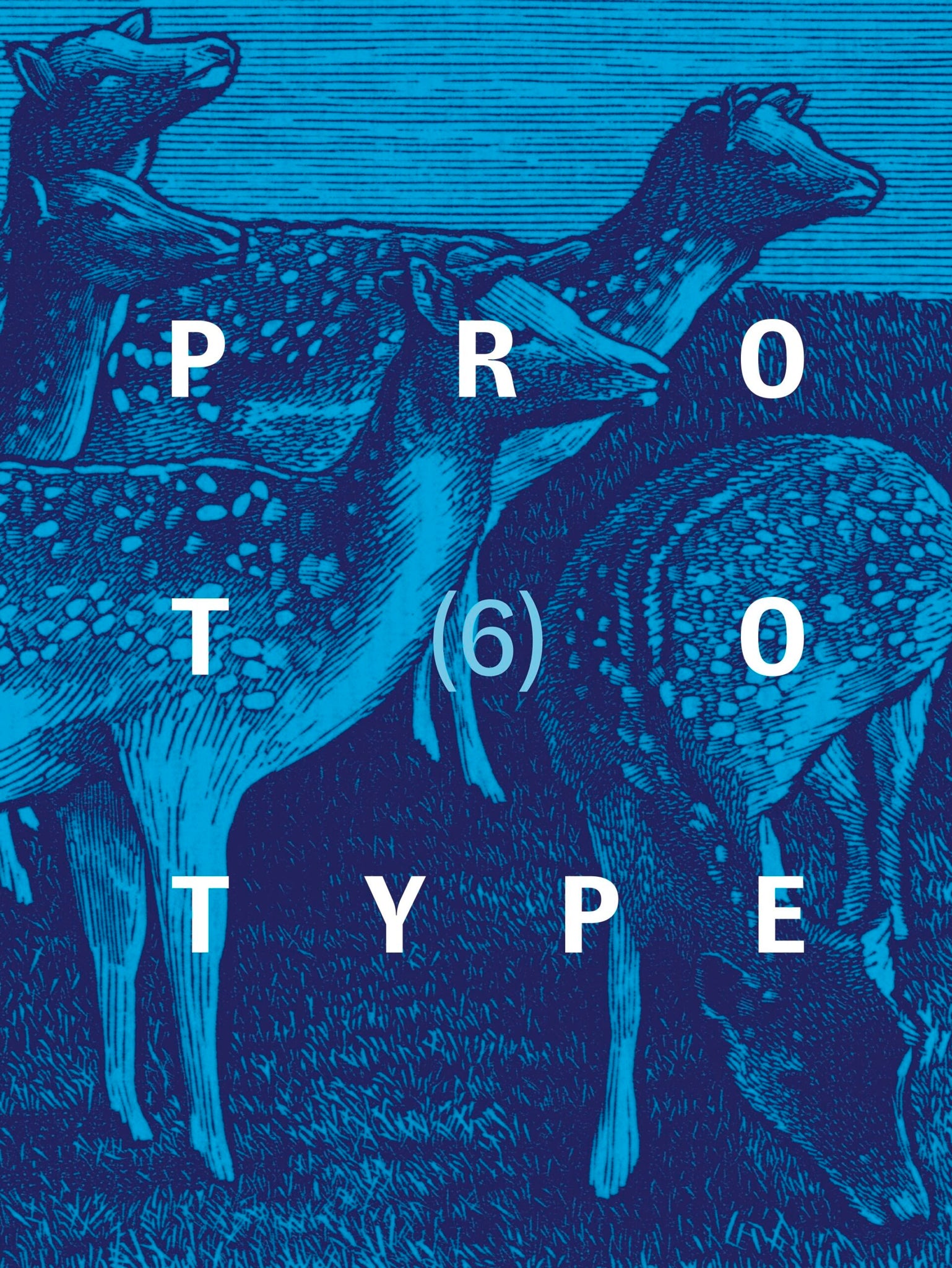 Prototype 6 cover