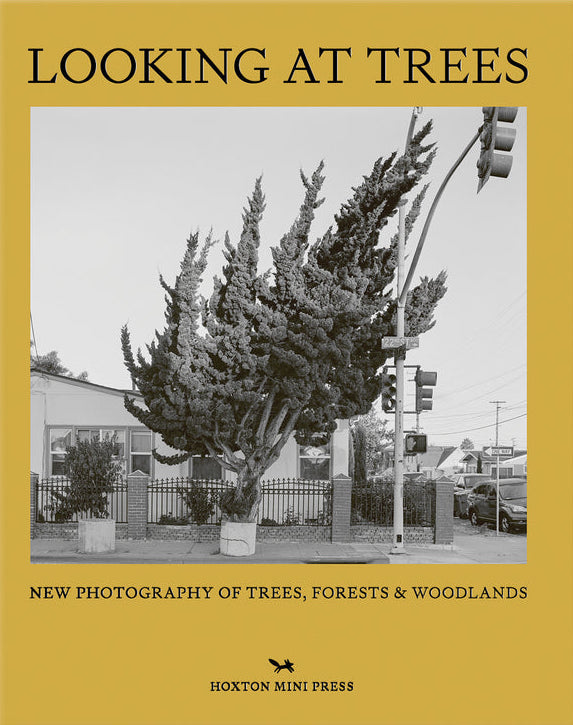 Looking at Trees cover