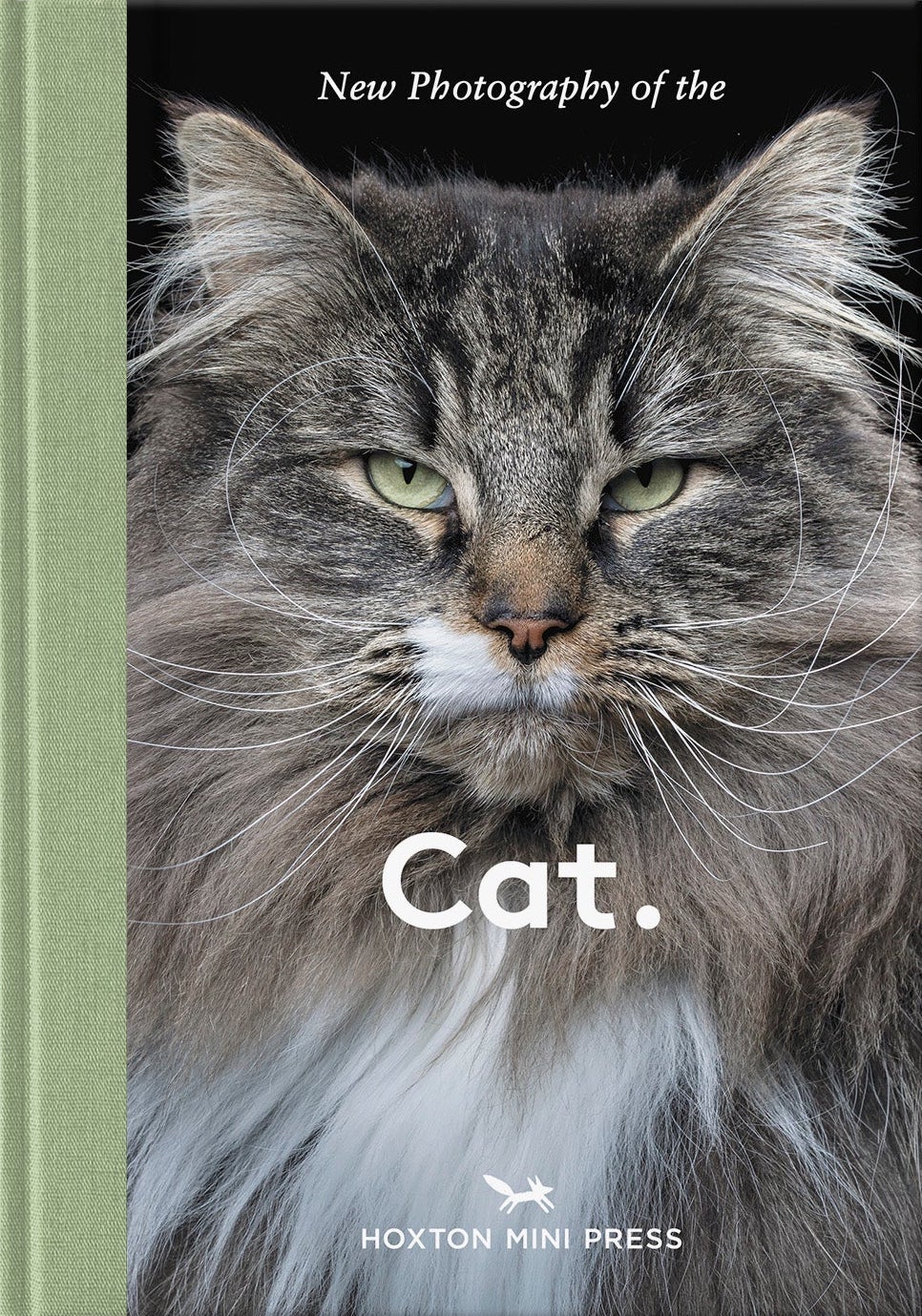 Cat: New photography of the Cat cover