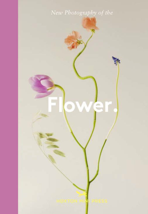 Flower: New photography of the Flower cover