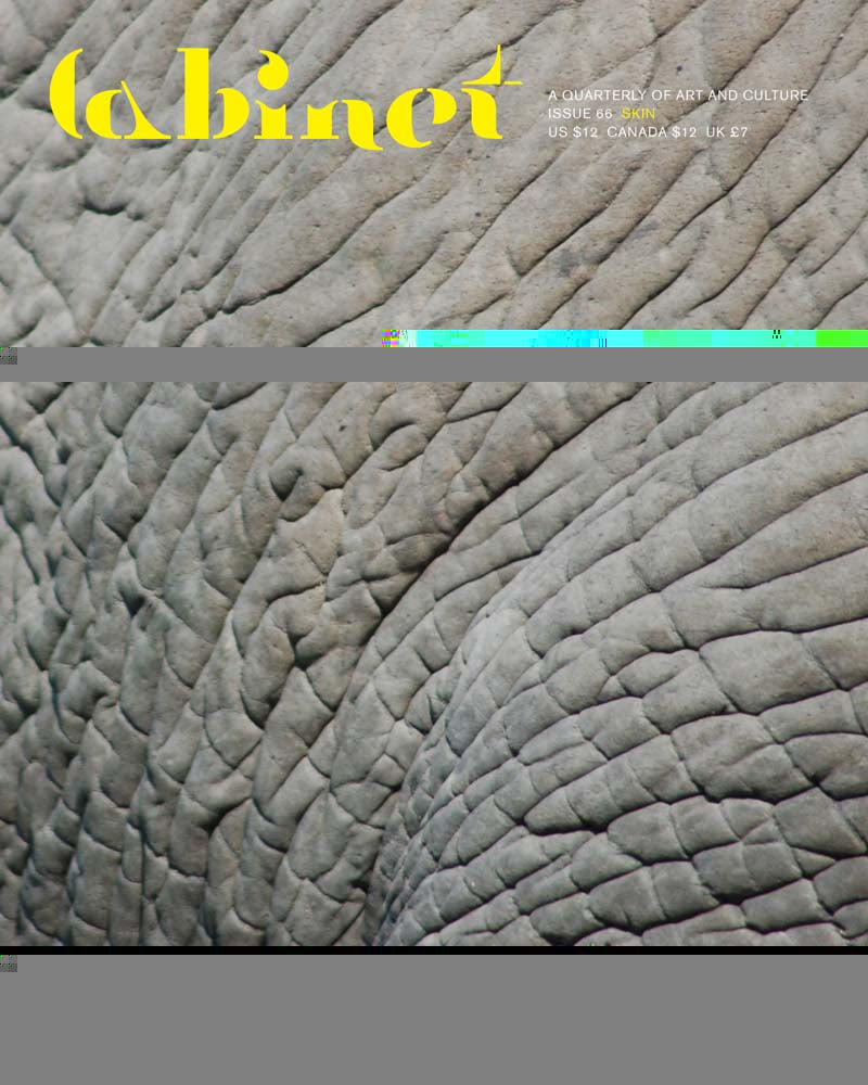 Cabinet 66 cover