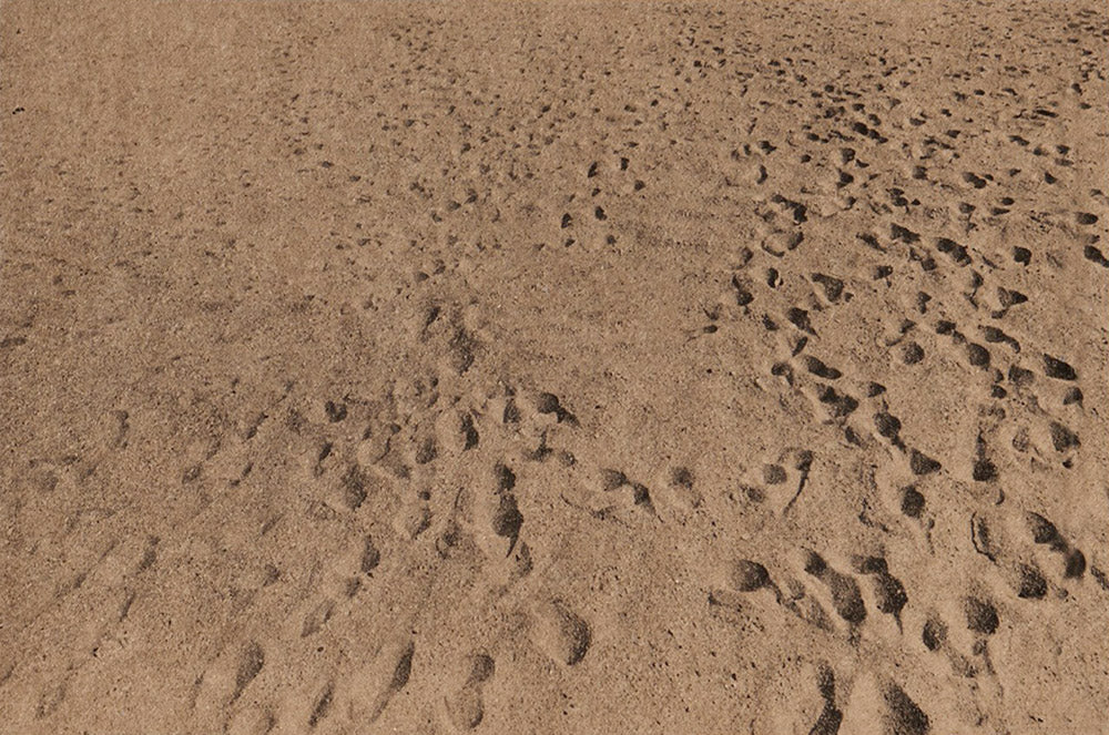 Anthony Hernandez: Beach Pictures, 1969-70 cover
