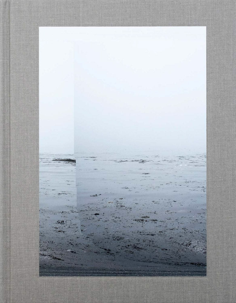 Barry Stone: Daily, In A Nimble Sea cover