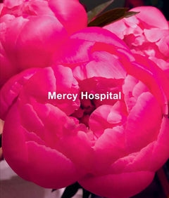 Ida Applebroog: Mercy Hospital  cover