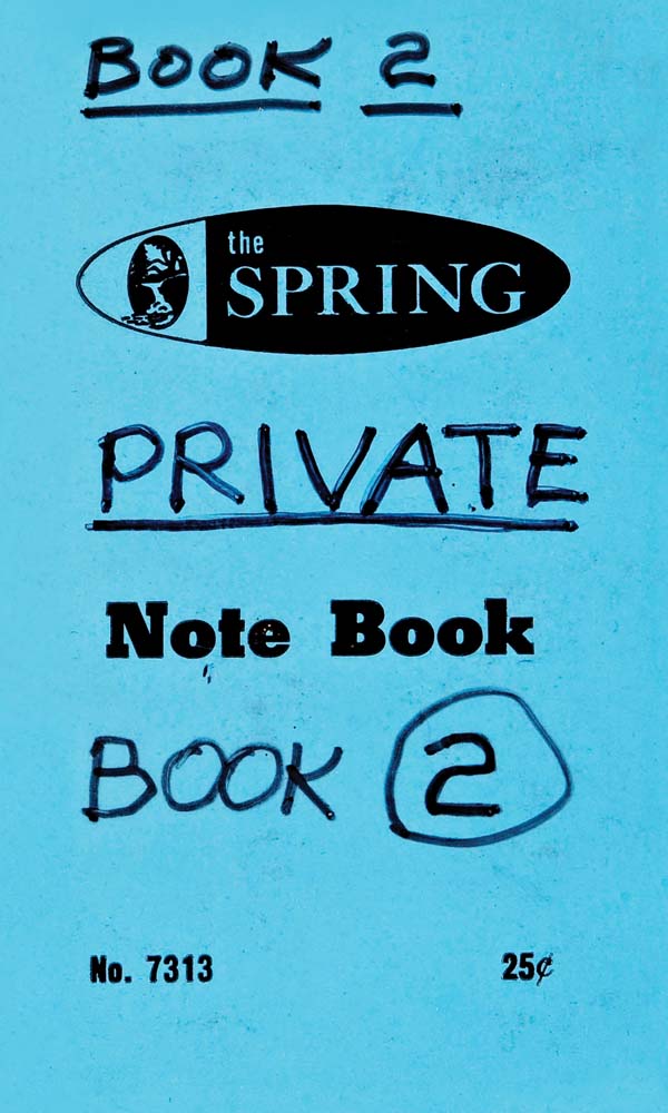 Lee Lozano: Private Book 2 cover