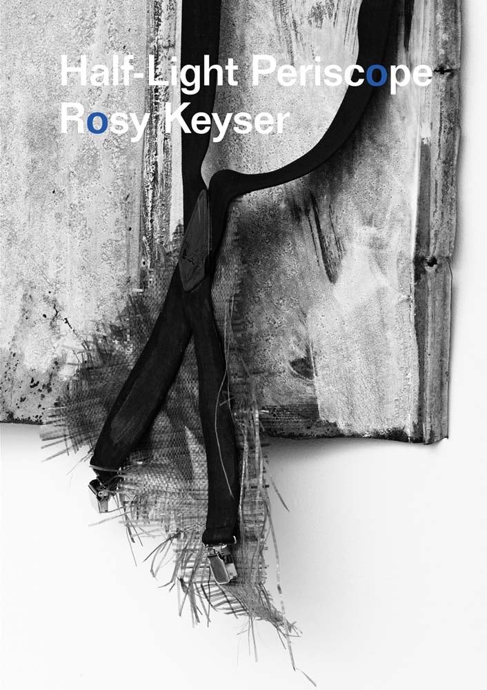 Rosy Keyser: Half-Light Periscope cover