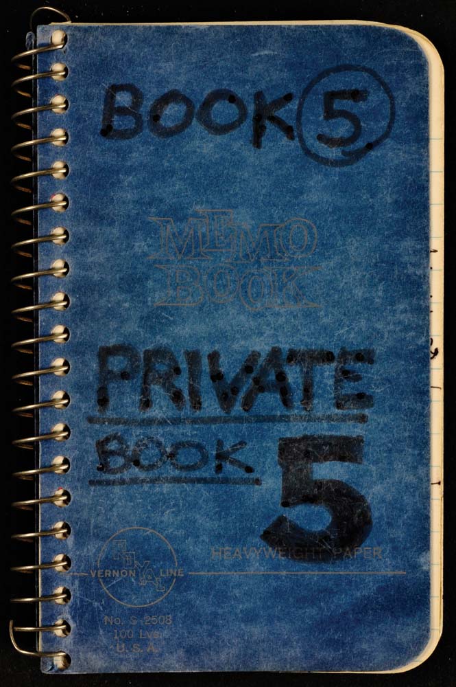 Lee Lozano: Private Book 5 cover