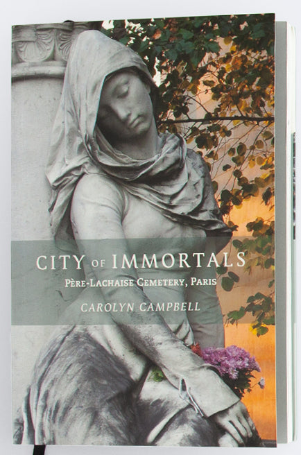City of Immortals cover
