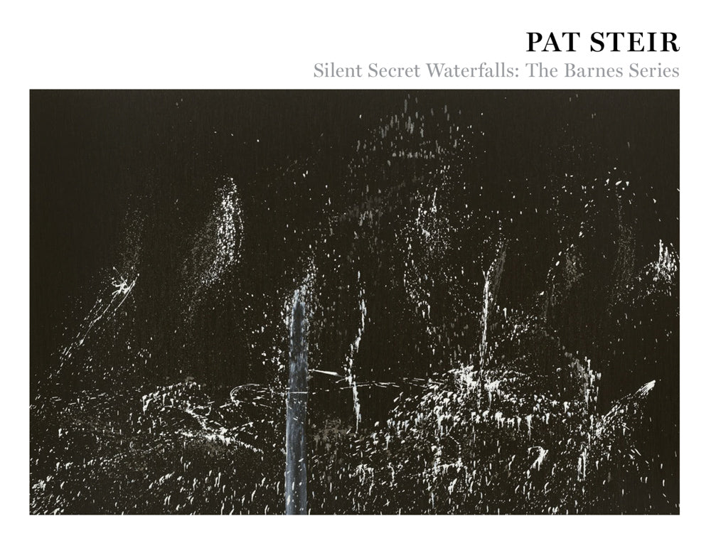 Pat Steir: Silent Secret Waterfalls cover