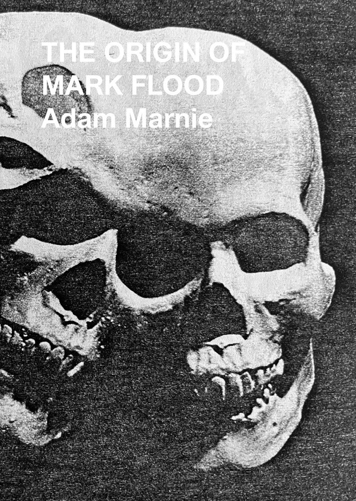 Origin of Mark Flood, the cover