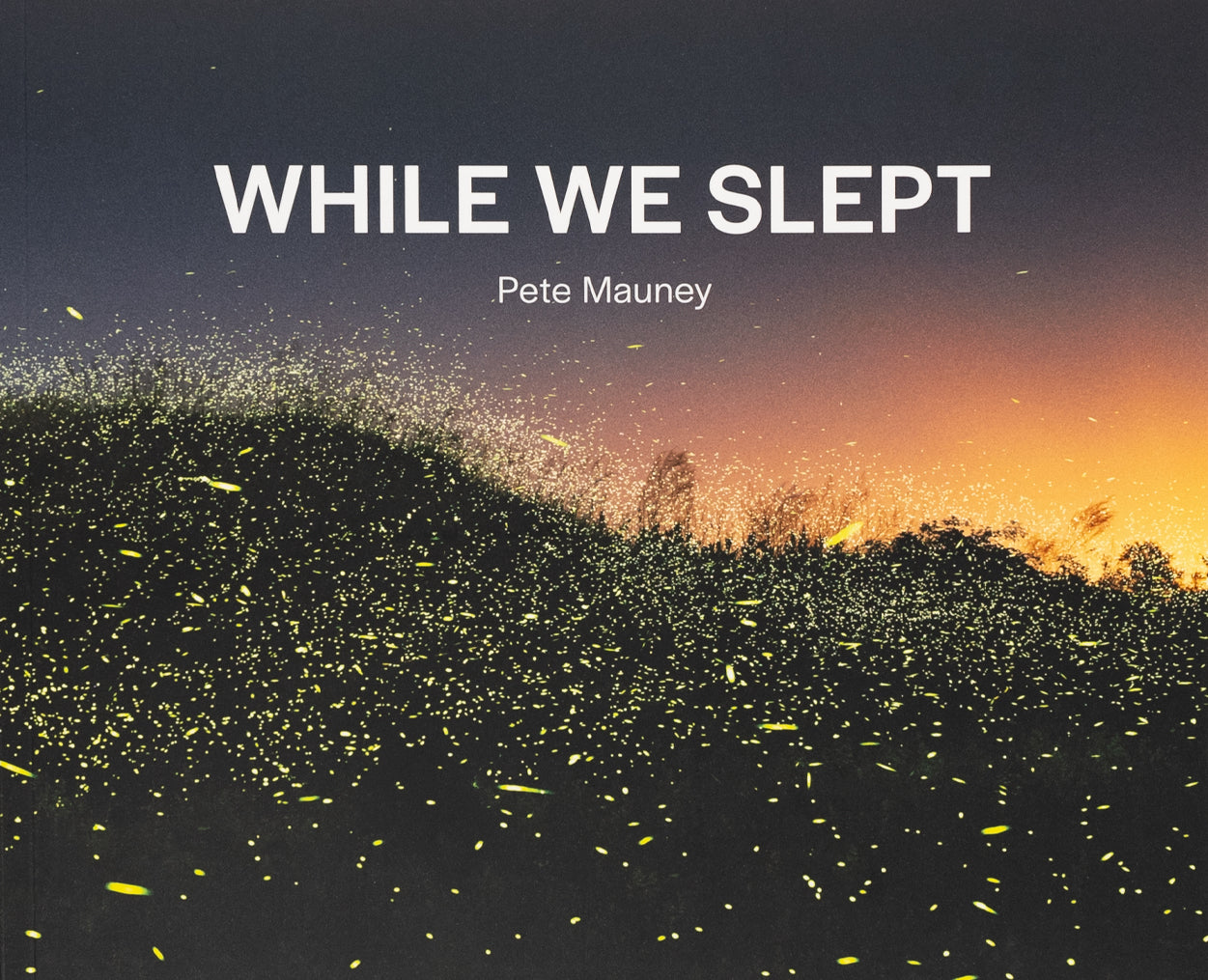 While We Slept cover