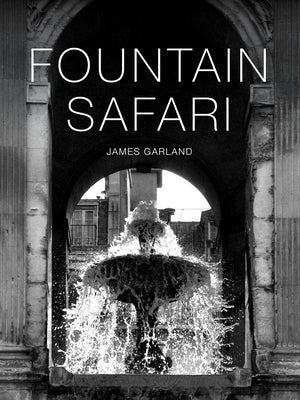 Fountain Safari cover