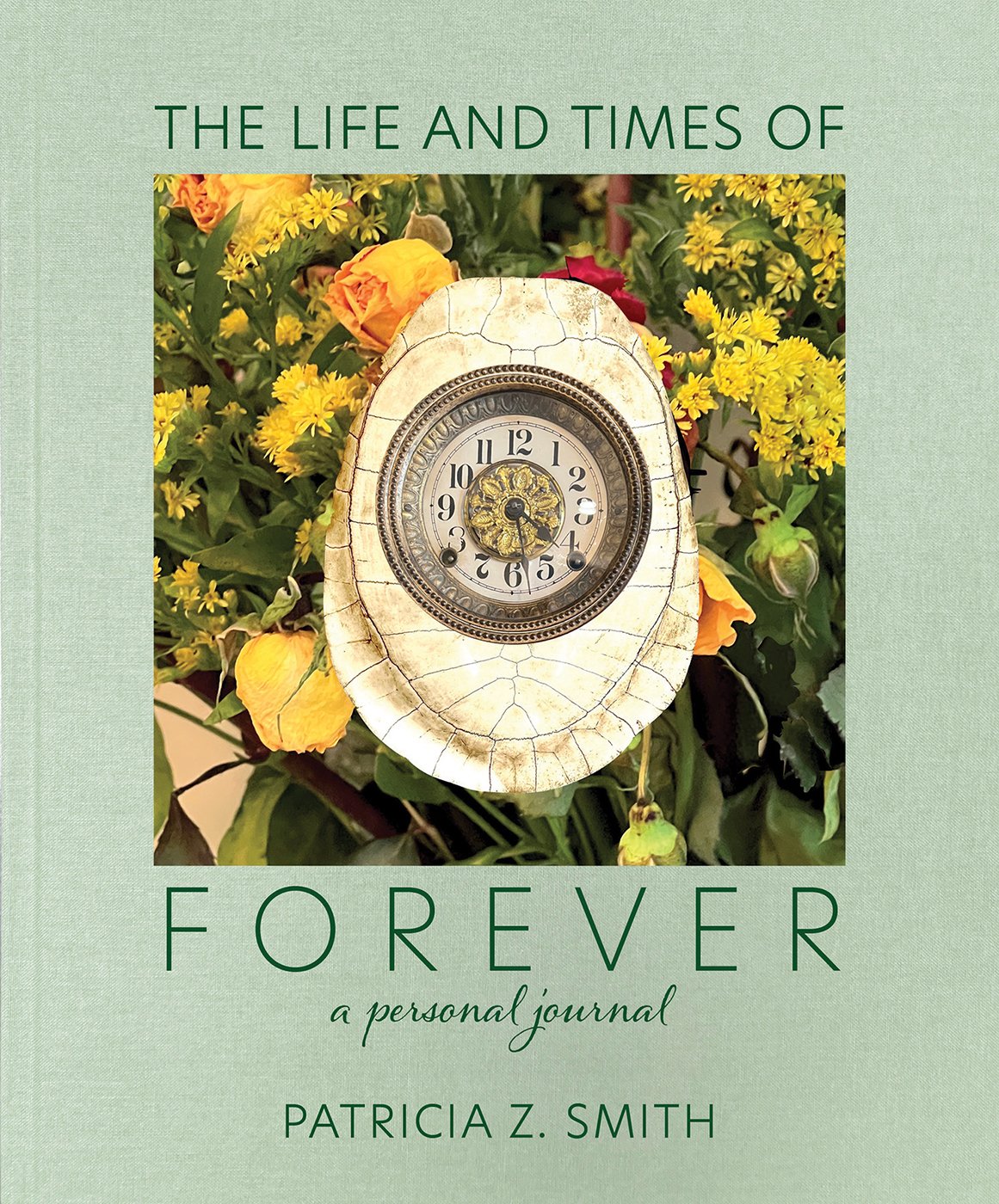 Life and Times of Forever, the cover