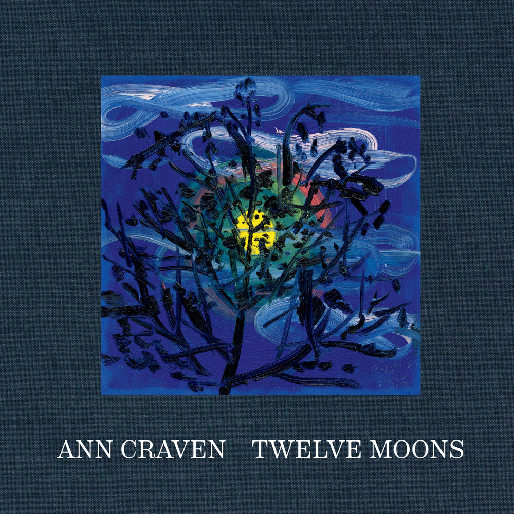 Ann Craven: Twelve Moons cover