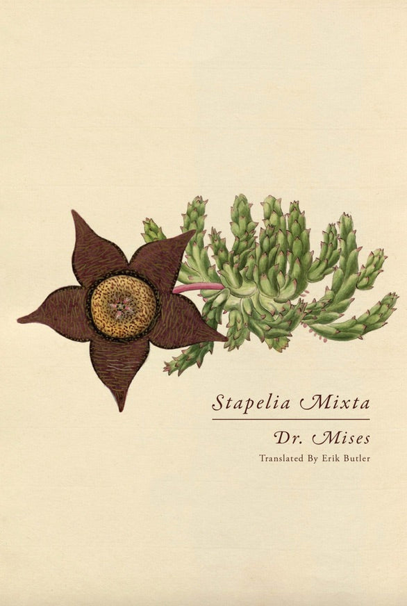 Stapelia Mixta cover