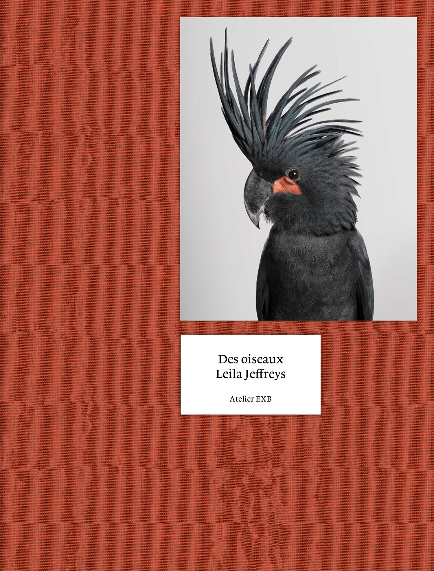 Leila Jeffreys: On Birds (Des oiseaux) cover