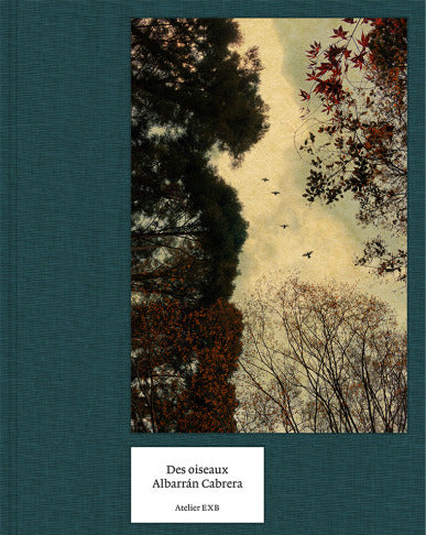Albarran Cabrera: On Birds (Des oiseaux) cover